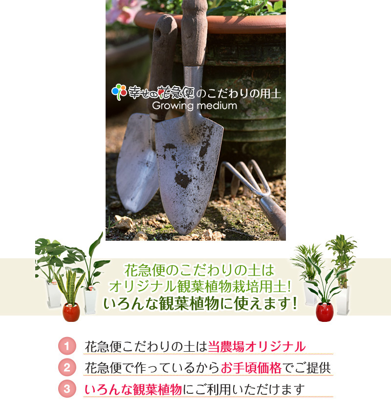 用土（１）