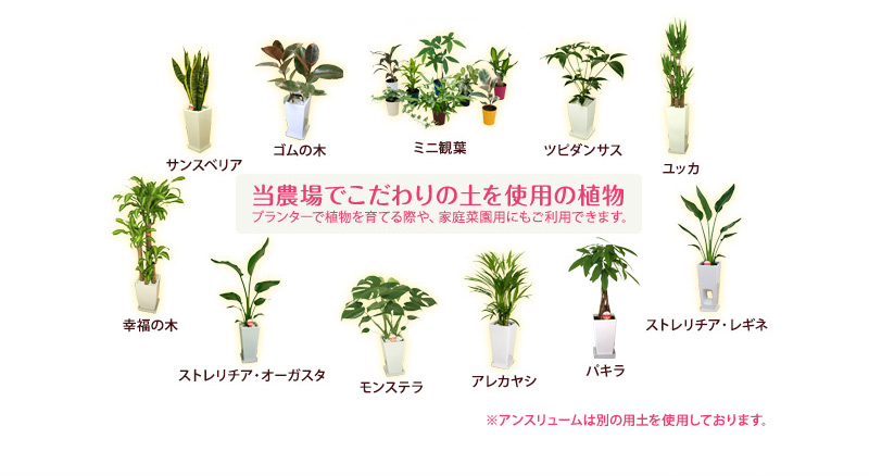 用土（８）