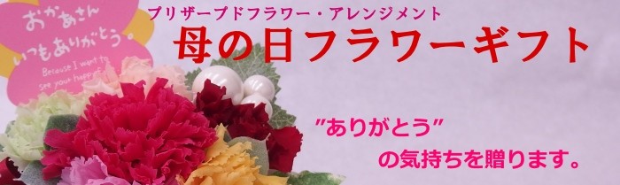 花らんどうえきヤフー店 Yahoo ショッピング