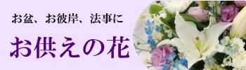 花らんどうえきヤフー店 Yahoo ショッピング