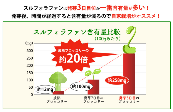 ブロッコリースプラウトの種