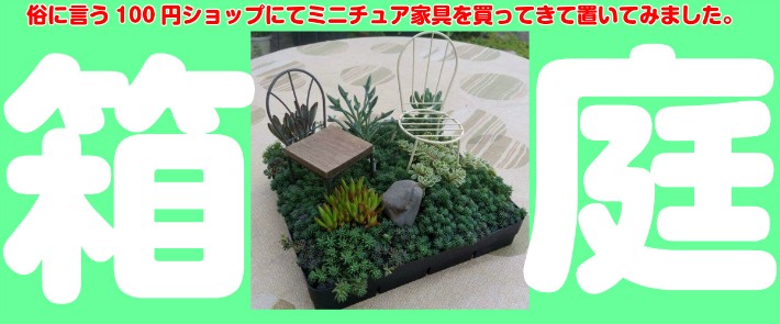 あなたも箱庭のオーナーに ミニチュアガーデン 1セット N Sedummat イングの森 花 苗 育て方 通販 Yahoo ショッピング