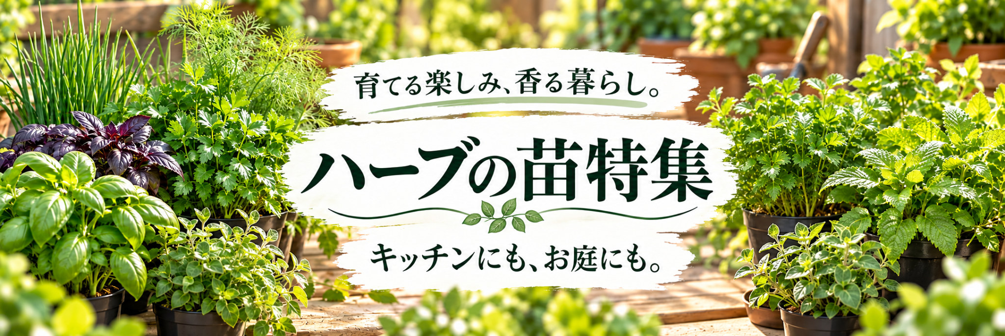 イングの森 花苗の専門店 - Yahoo!ショッピング