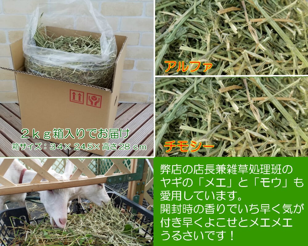 オーツヘイ3キロ。うさぎや小動物のエサやおやつに… - 小動物用品