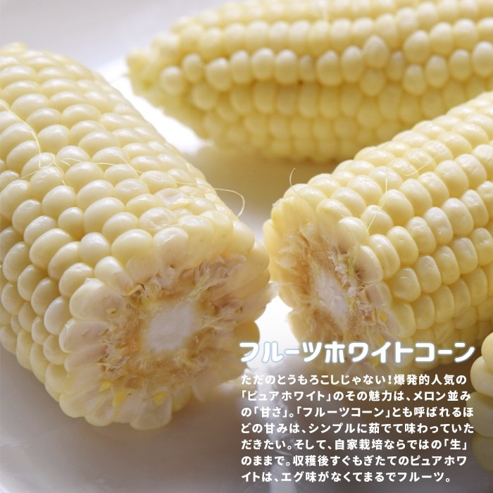 フルーツコーン フルーツとうもろこし 極甘 ホワイトコーン