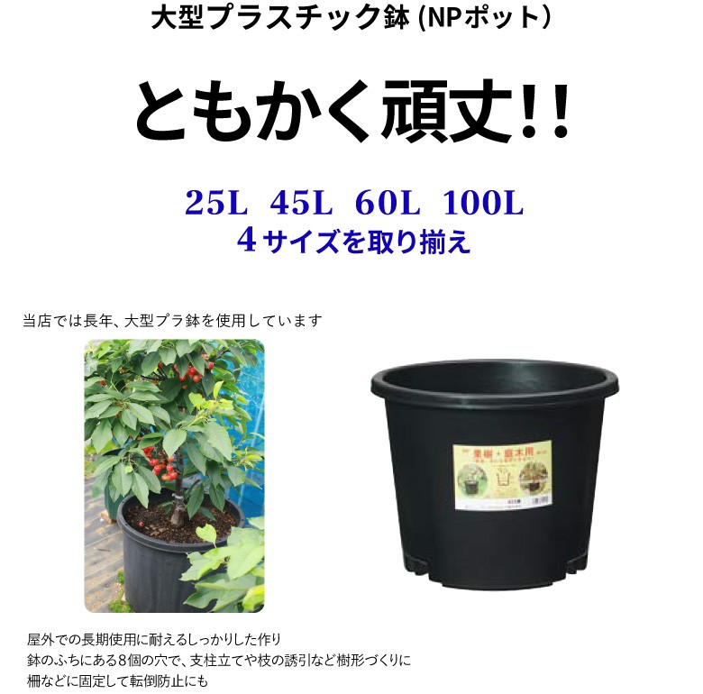 花実樹ヤフー店 大型プラスチック鉢 植木鉢 Yahoo ショッピング