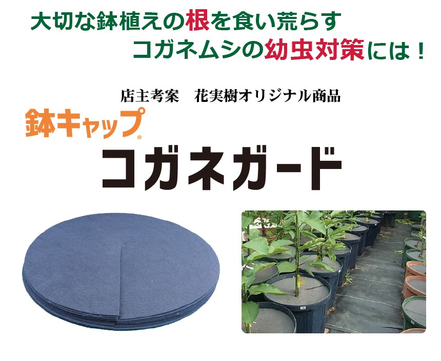 鉢キャップ
