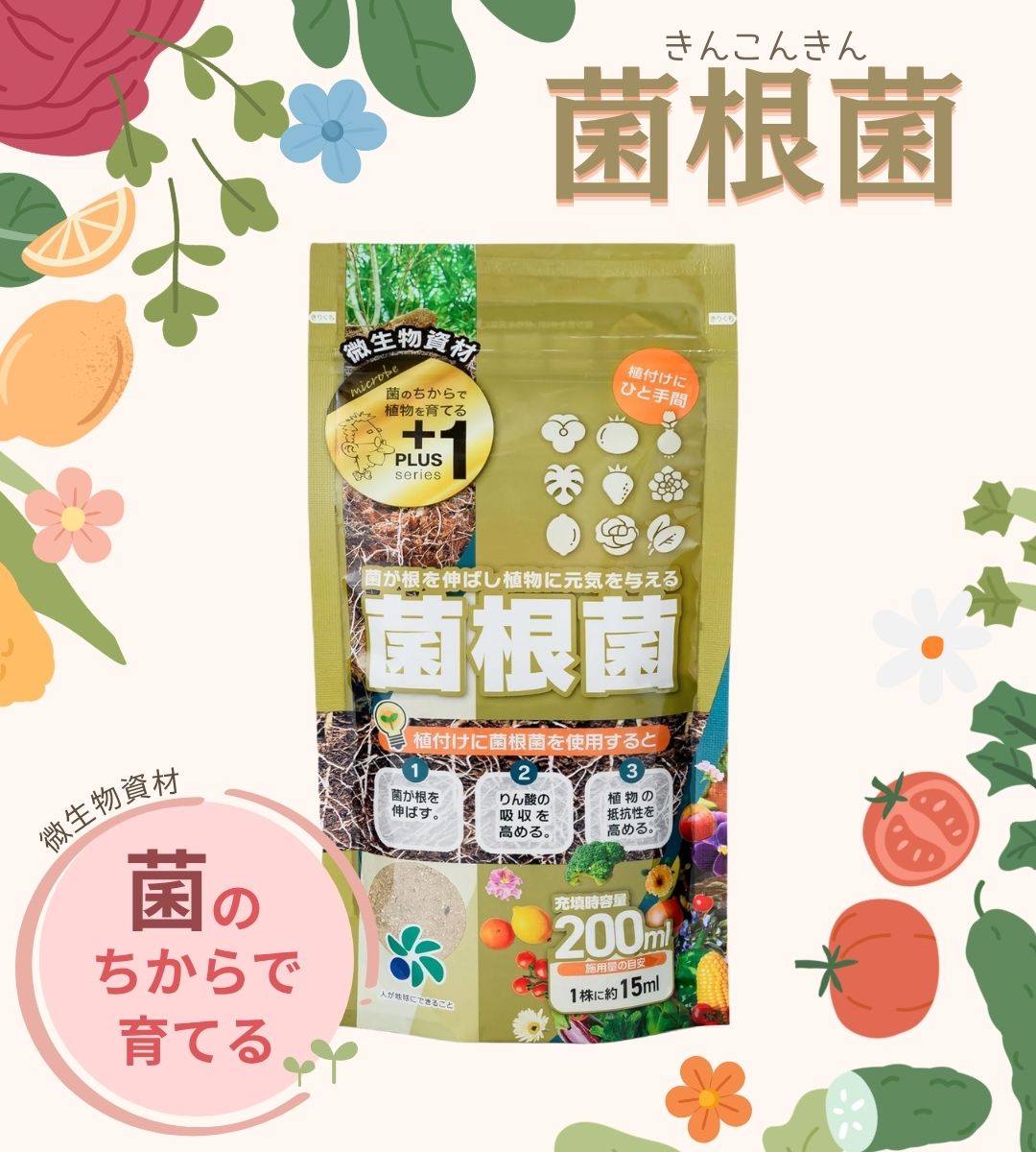 花実樹(はなみき)ヤフー店 - Yahoo!ショッピング