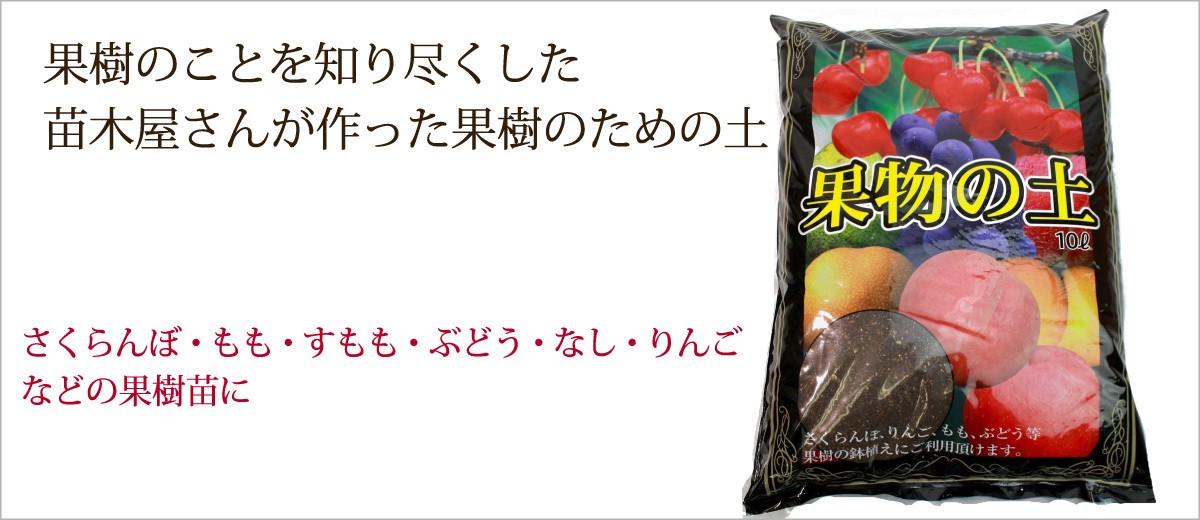 花実樹ヤフー店 Yahoo ショッピング