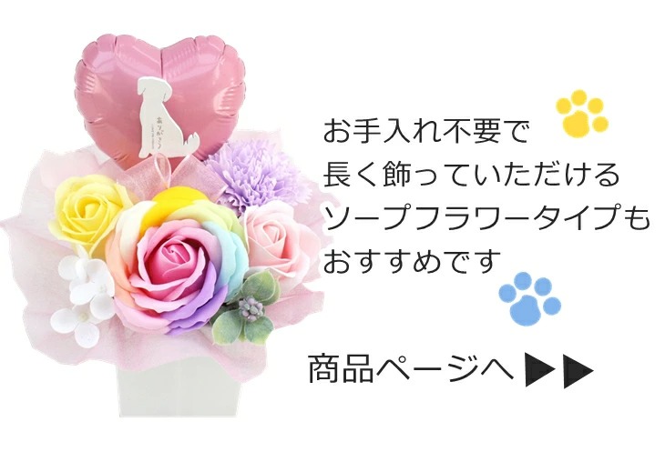 ソープ案内"