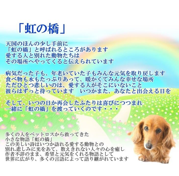 ソープフラワー