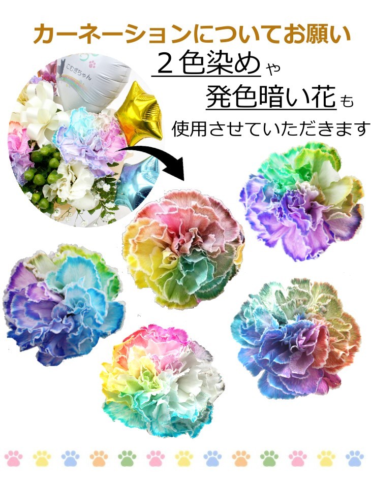 正規品質保証】 生花 名入れが出来る ペットお供え花 贈り物 レインボーカーネーション お供え 愛犬 命日 仏花 四十九日 初盆 お盆 法事 供養  法要 アレンジメント www.southriverlandscapes.com