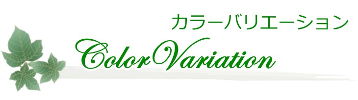 バルーンフラワー