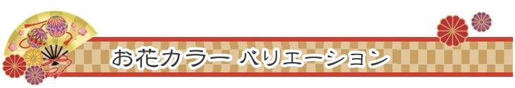 バルーンフラワー
