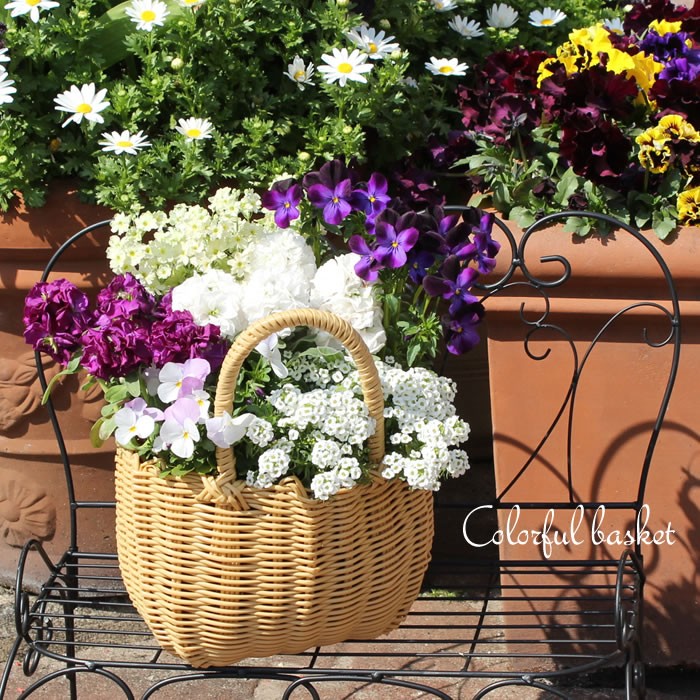 寄せ植えできる かわいい カラフル バスケット（Sサイズ） : 花苗園芸