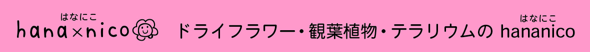 hananicoヤフー店 ヘッダー画像