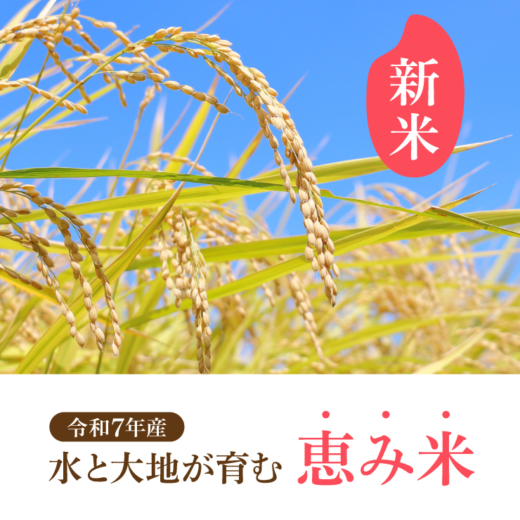 紗羅　群馬県産 低農薬 玄米 精米 済み 30kg 紗羅 群馬県産 低農薬 玄米 精米 済み 30kg 紗羅 群馬県産 低農薬 玄米