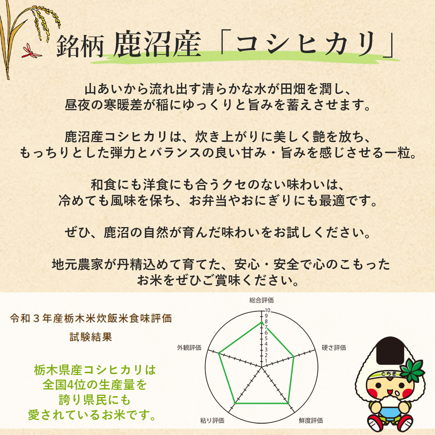 花のギフト社 米 30kg 玄米 令和7年 新米 コシヒカリ にじのきらめき