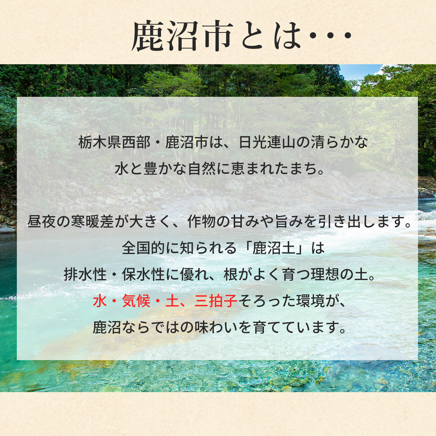 花のギフト社 米 30kg 玄米 令和7年 新米 コシヒカリ にじのきらめき