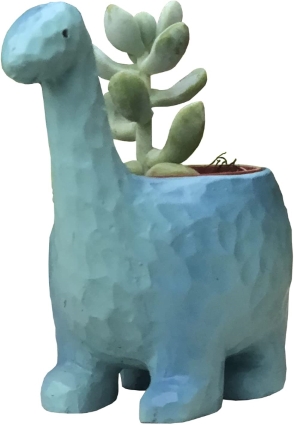 花のギフト社 多肉植物 鉢植え 多肉 トリケラトプス ティラノサウルス