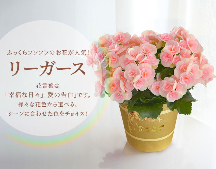 【なーさん＊様ページ】　母の日ギフト 花束 花の絵 ラベンダー ボタニカル かみふらの産【母の日】ラベンダーギフト 花 花束 | 北海道上