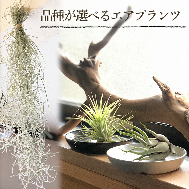 060520211105000001.jpg
