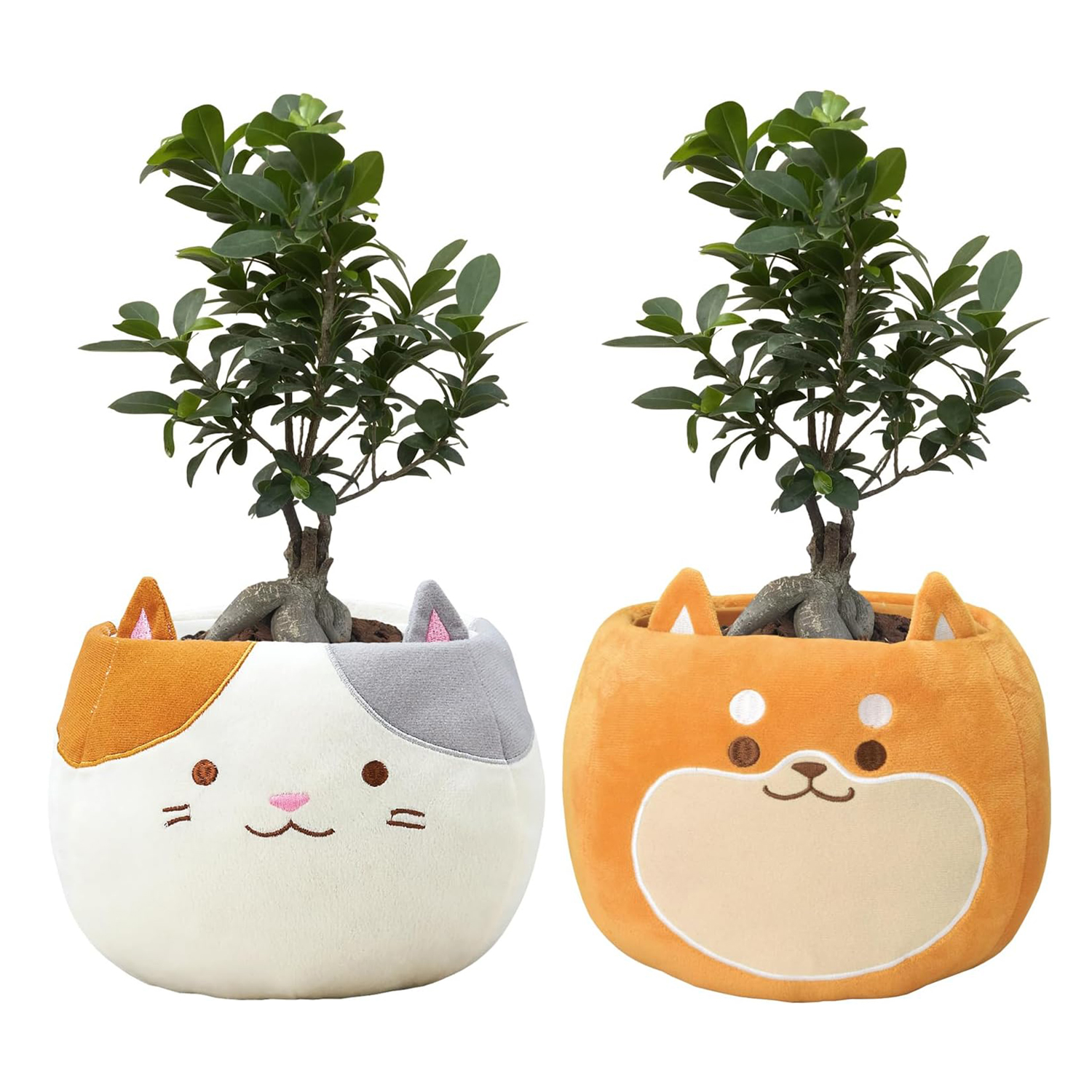 San-x Wanroom 植木 観葉植物 置き ぬいぐるみ 小物入れ San-x Wanroom 植木 観葉植物 置き ぬいぐるみ 小物入れ - メルカリ