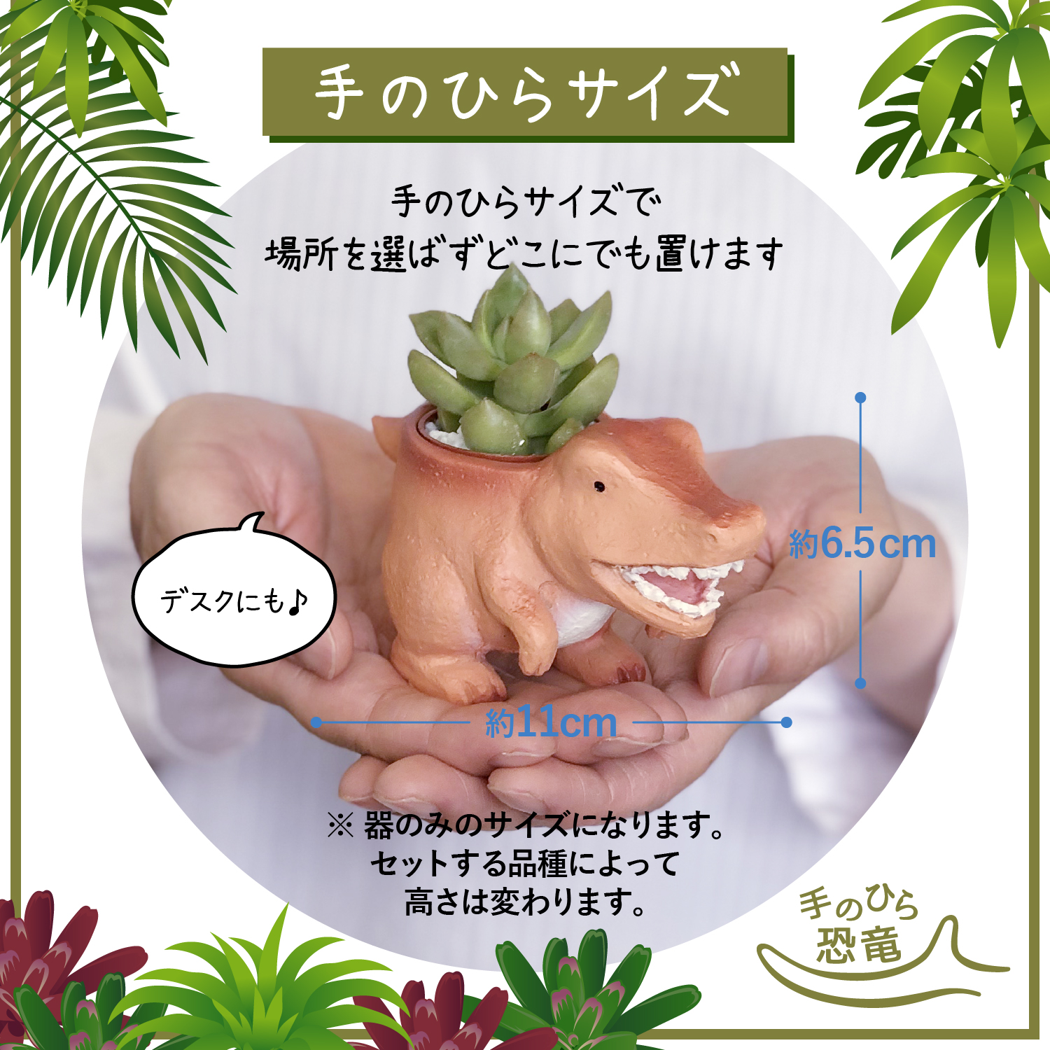 花のギフト社 多肉植物 鉢植え 多肉 トリケラトプス ティラノサウルス