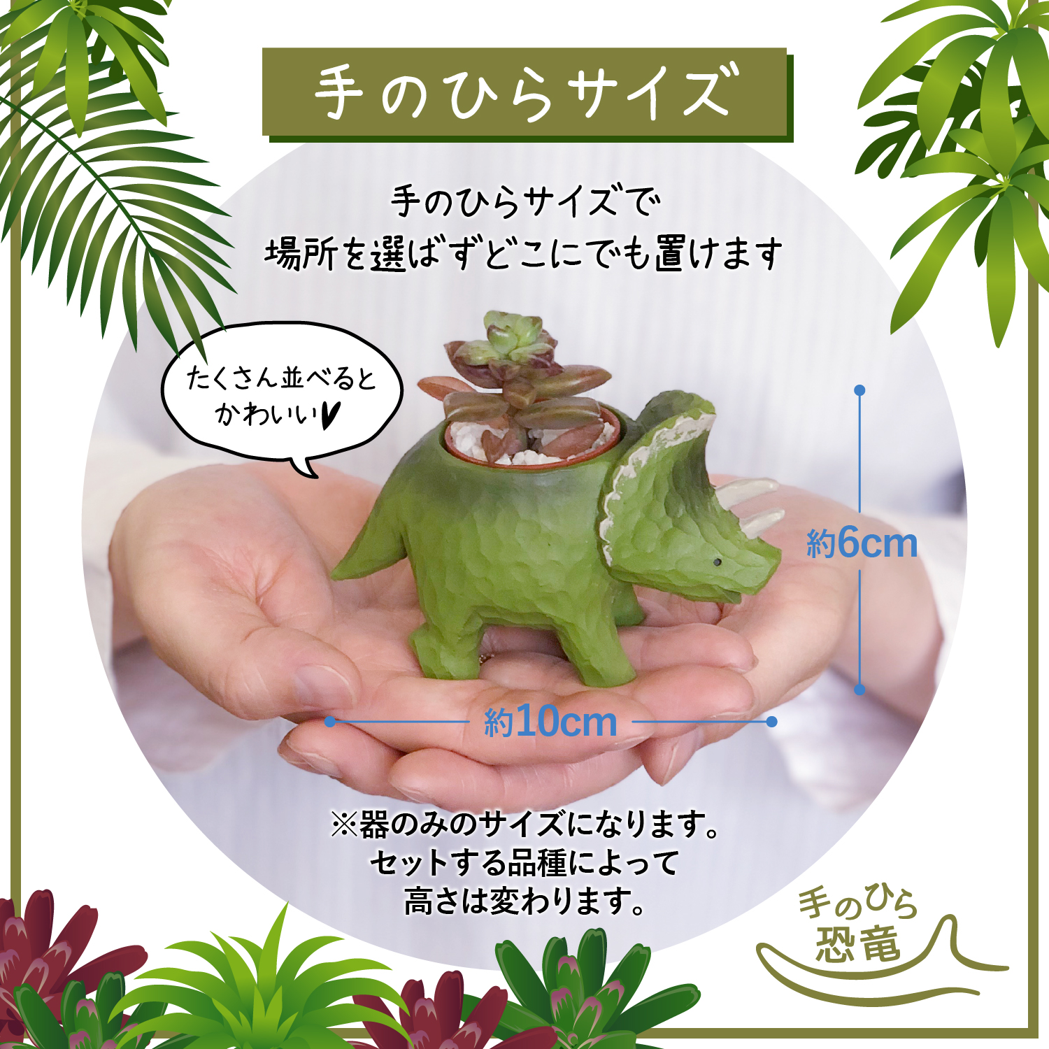 花のギフト社 多肉植物 鉢植え 多肉 トリケラトプス ティラノサウルス