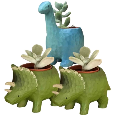 花のギフト社 多肉植物 鉢植え 多肉 トリケラトプス ティラノサウルス