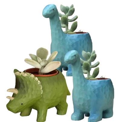 花のギフト社 多肉植物 鉢植え 多肉 トリケラトプス ティラノサウルス