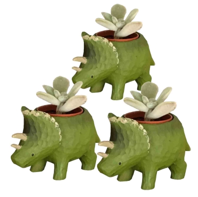 花のギフト社 多肉植物 鉢植え 多肉 トリケラトプス ティラノサウルス