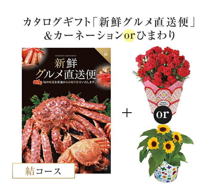 花のギフト社 父の日 母の日 ギフト プレゼント 花 5号鉢 鉢植え 東北
