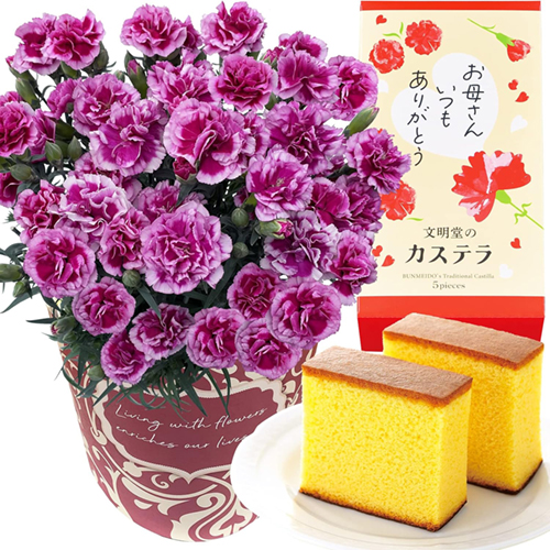 花のギフト社 母の日 プレゼント 2026 花 ギフト カーネーション