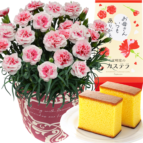 花のギフト社 母の日 プレゼント 2026 花 ギフト カーネーション