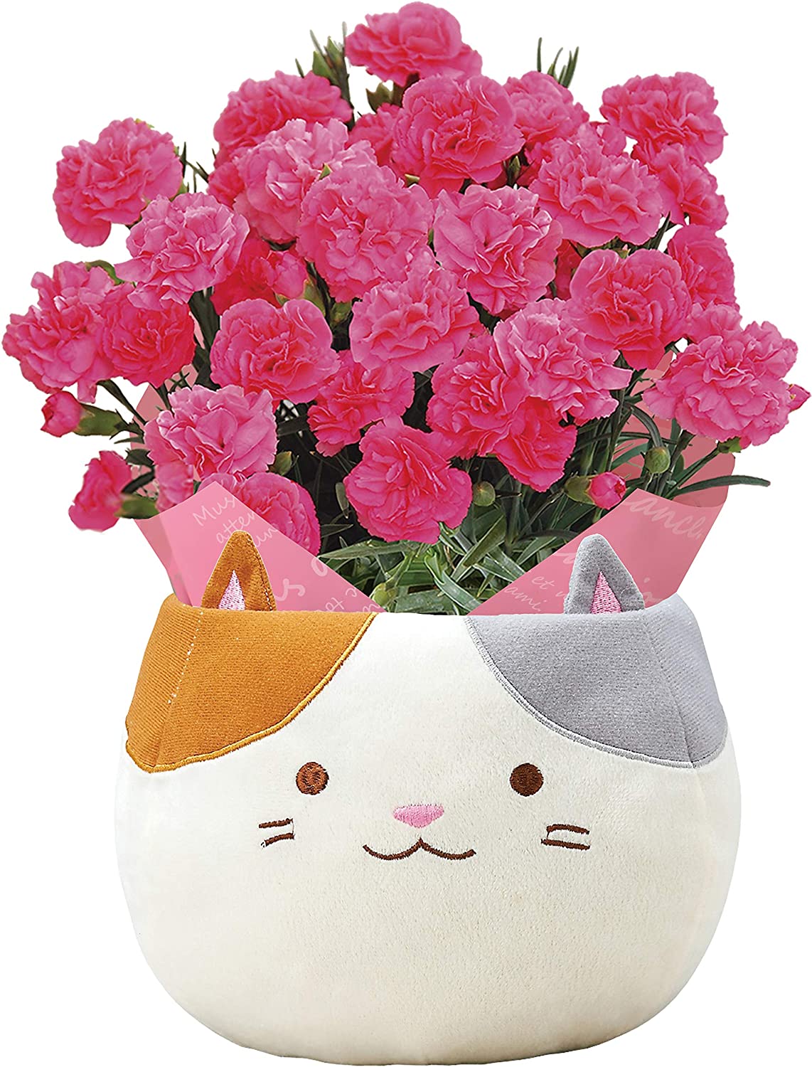 花のギフト社 母の日 プレゼント カーネーション 鉢植え 花 ギフト