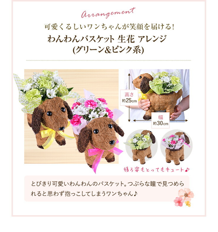花のギフト社 わんわん アレンジメント ギフト プレゼント 花 誕生日