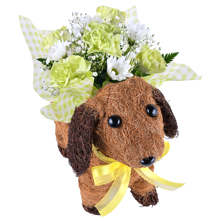 花のギフト社 わんわん アレンジメント ギフト プレゼント 花 誕生日