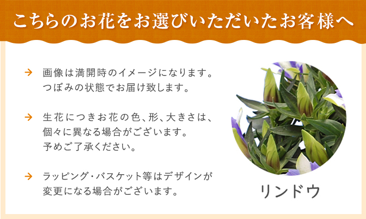 敬老
