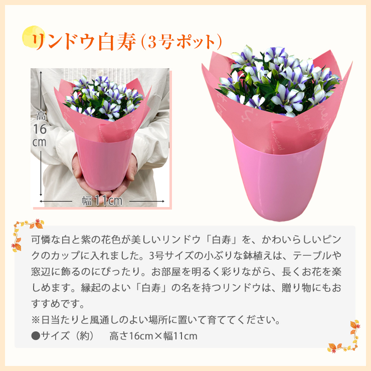 敬老