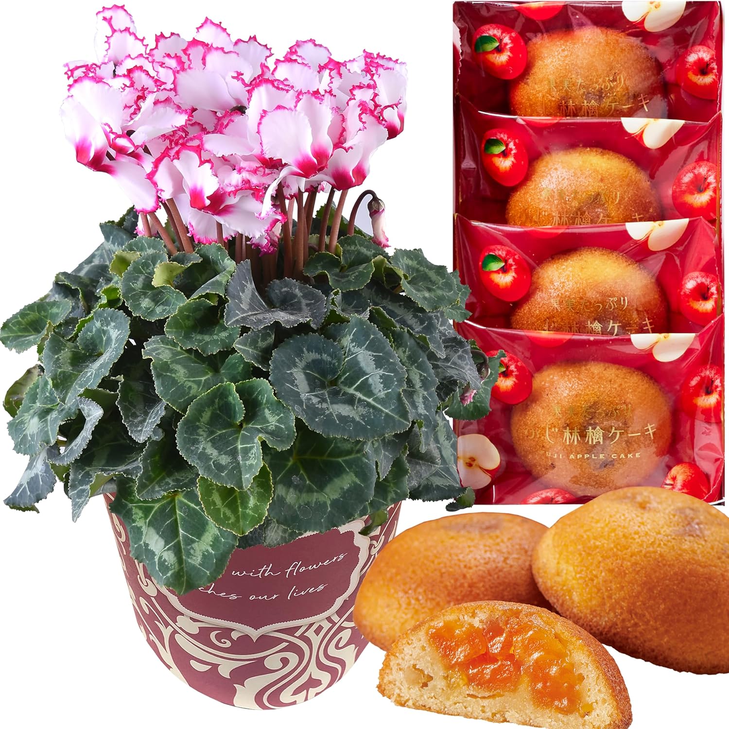 花のギフト社 シクラメン 鉢植え お花 ビクトリア 5号鉢 鉢花 花鉢 し