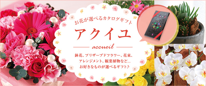 花のギフト社onlineshop Yahoo ショッピング