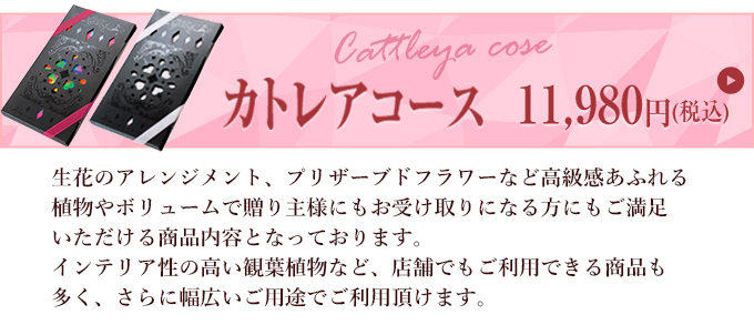 カトレア