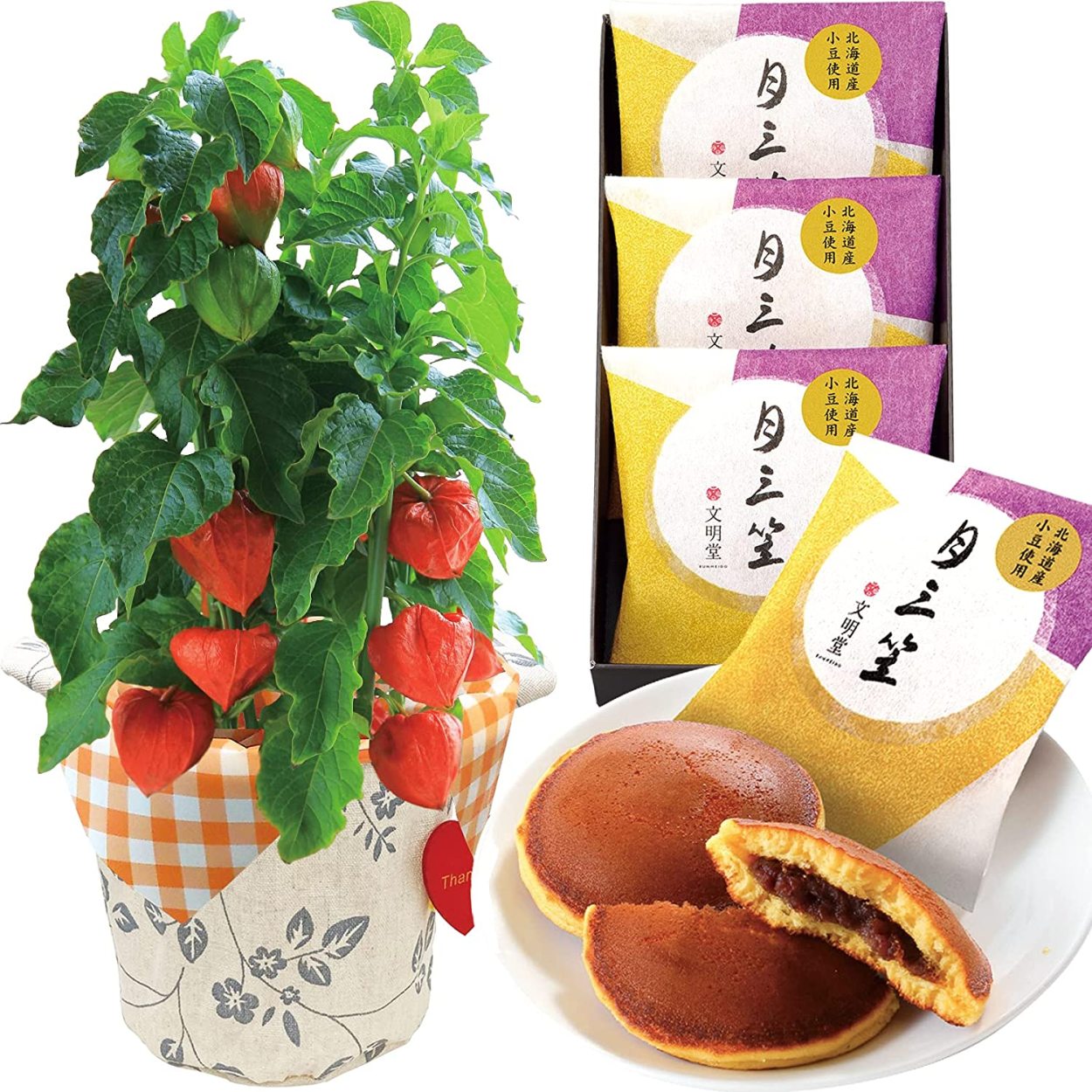 あすつく ほおずき鉢植え ほおずきの鉢植え ホオズキ鉢植え ほおずき 6種から選べるセット 風鈴 わらび餅 こがね芋 文明堂 カステラ どら焼き 鉢花 花のギフト社onlineshop 通販 Yahoo ショッピング