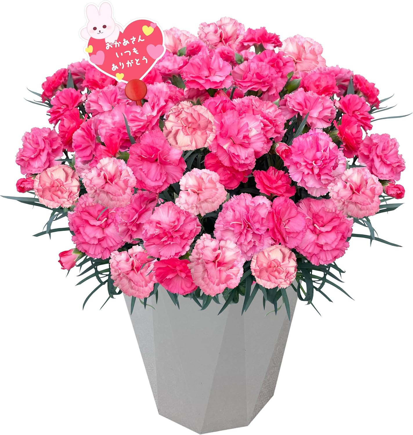 花のギフト社 母の日 プレゼント 2025 花 ギフト カーネーション 花のギフト社 母の日 プレゼント 2025 花 ギフト カーネーション