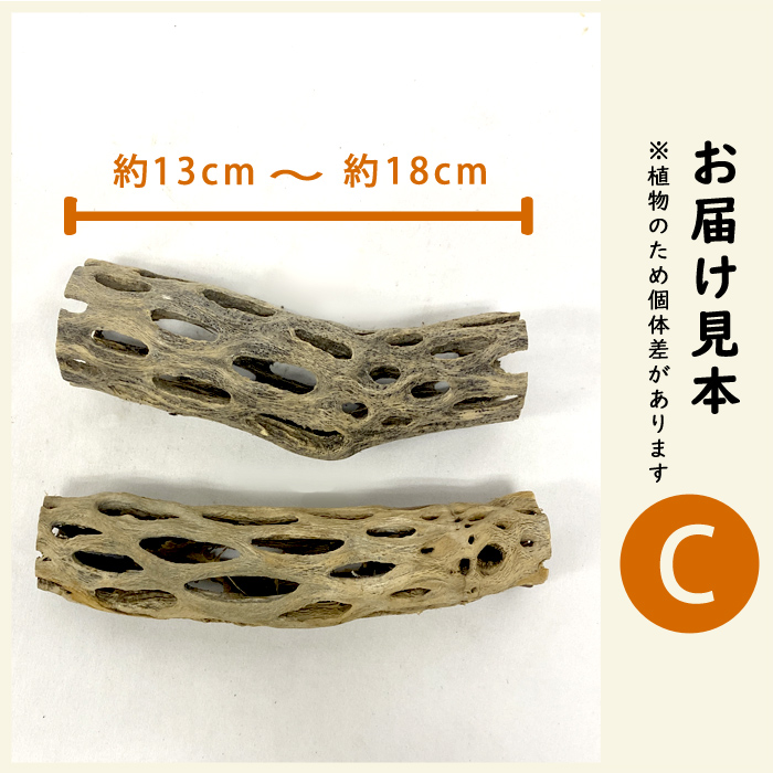 カクタススケルトンのおすすめ人気商品一覧 通販 - Yahoo