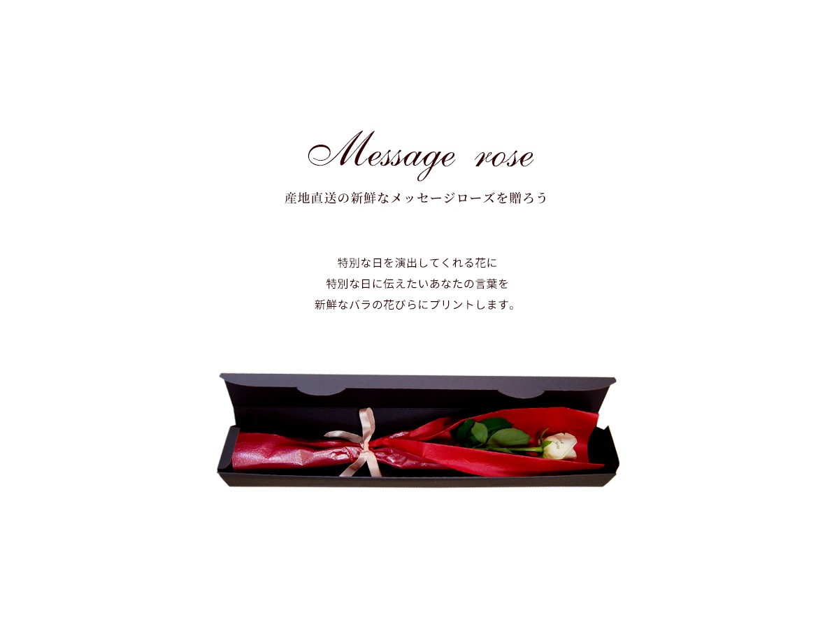 メッセージローズ　1輪　花びらにプリント