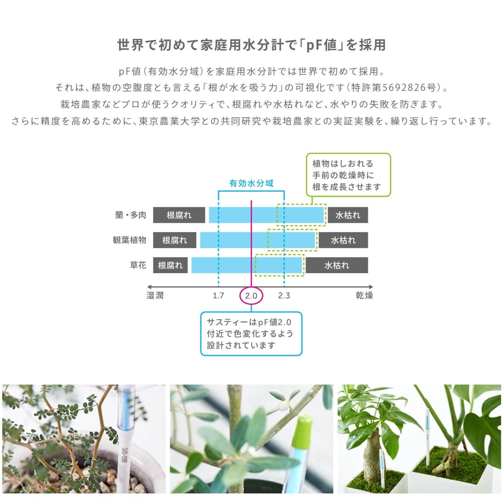 値段が激安 キャビノチェ SUSTEE 水やりチェッカー サスティー S サイズ ホワイト C-0011-WH