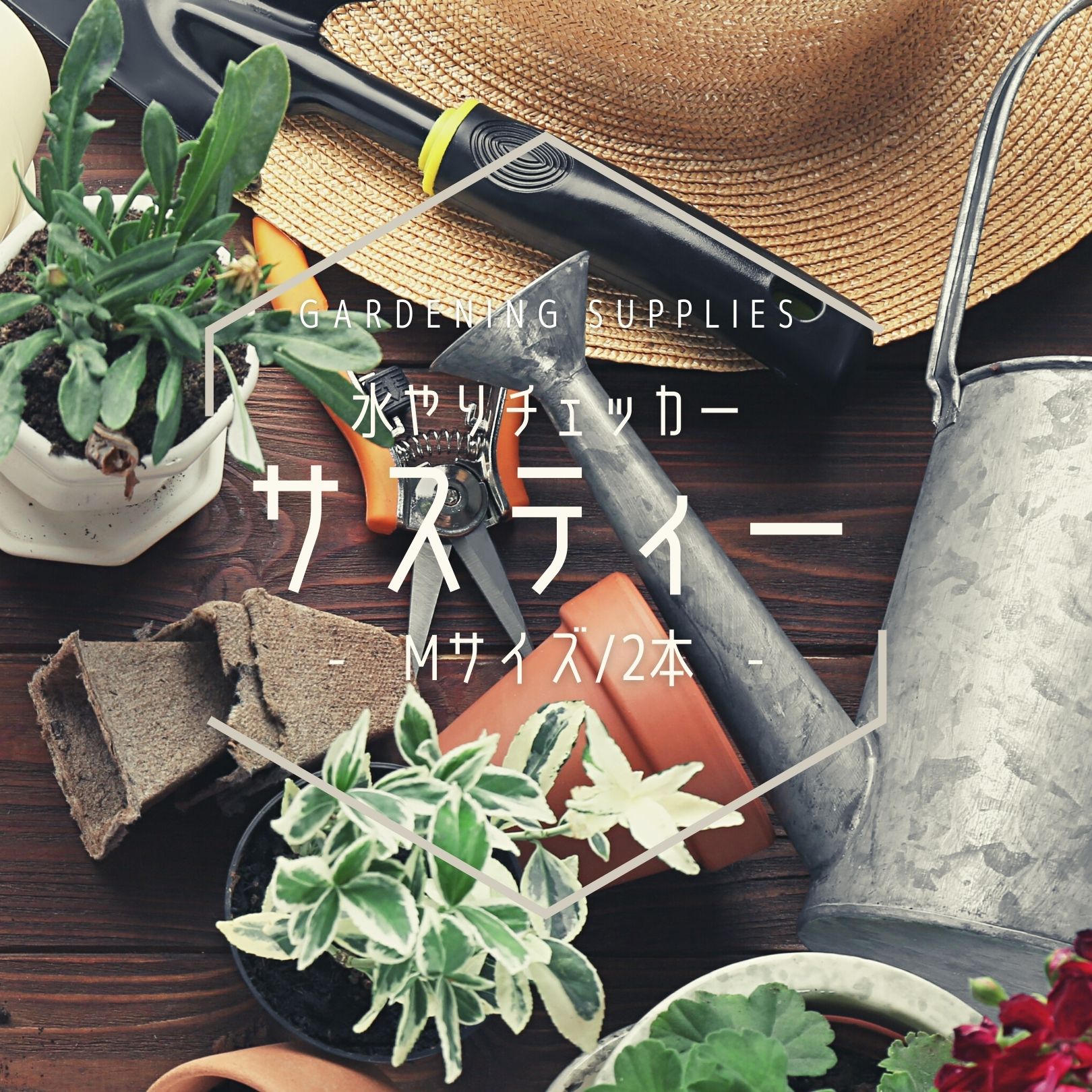 ☆決算特価商品☆メンテナンス用品 SUSTEE (サスティ) 水やりチェッカー 4号 多肉植物 確認 花鉢 鉢 6号 生育管理 5号 観葉植物 Mサイズ  水やり 3.5号 2本 散水、水栓、水周り