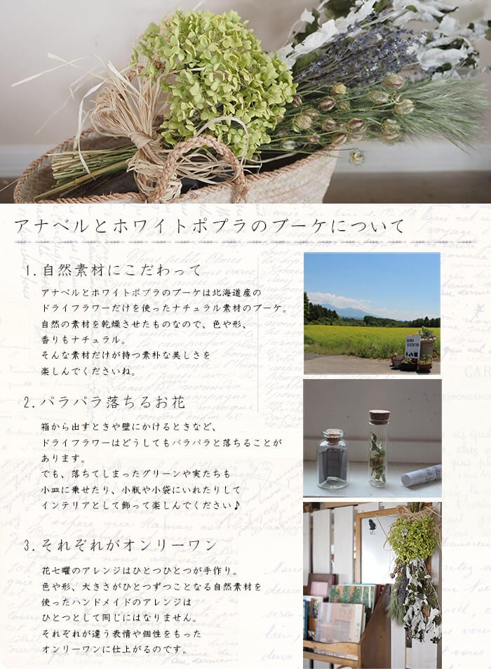 アナベルとホワイトポプラのブーケ あじさいアナベルのシンプルなドライフラワースワッグ Anaxpo 富良野 花七曜 通販 Yahoo ショッピング